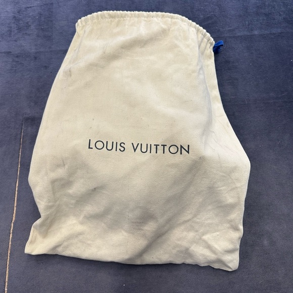 Louis Vuitton Palm Springs Monogram PM Backpack - Picture 9 of 11